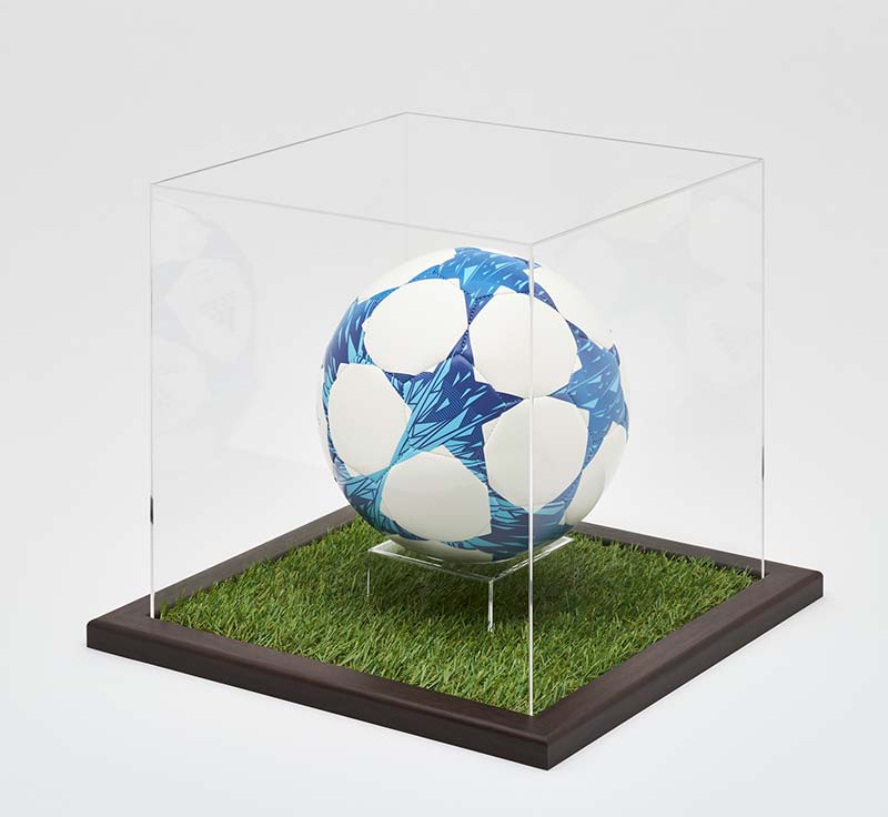 Soccer ball case